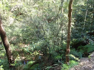 Nice scenery