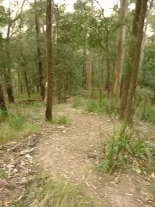 Steep track east of Solitary Pass