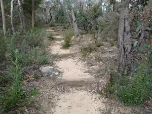 Stepped track down to the lookout