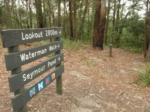 Walking track sign