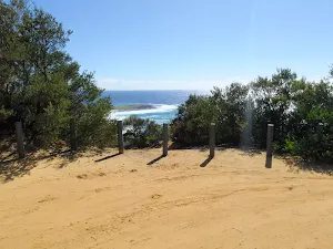 Timber Beach Lookout