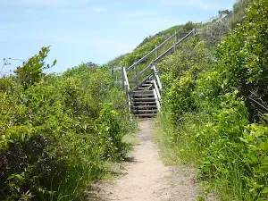 Timber steps on the coastal walk in the Wallarah Pennisula