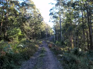 heading down from the communications tower