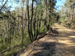 Steep valley beside the OGNR