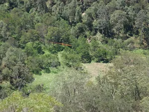 Looking down on clearing at Chaselings Run