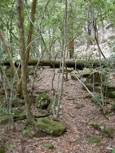 The track to Palona Cave