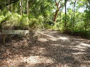 Trail and sign in Blackbutt Reserve