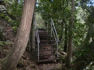 Section of footbridge on the Wallumarra Bushtrack