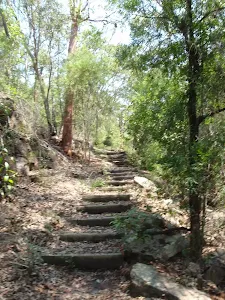 Steps on Sphinx Walking track