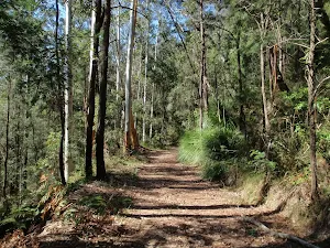 Simpson track below cave