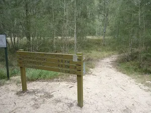 Track to Mt Kuring-gai