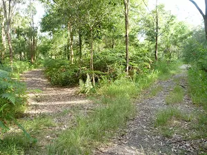 Intersection on the Galgabba Point walk