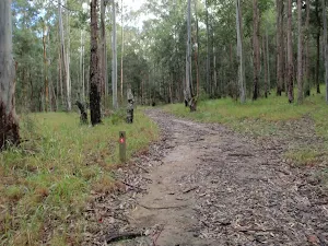 property's service trail