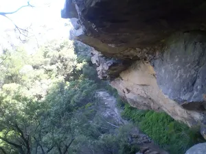 Undercliff Track