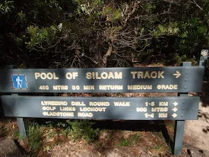 Pool of Siloam track sign