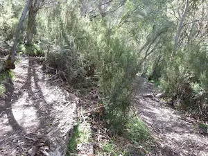 Hair pin bend on Bridle Trail