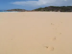 Bournda Beach