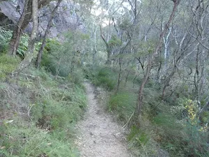Track between Lyrebird Dell and Pool of Siloam