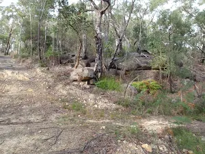 Rock and forest on Stringybark ridge