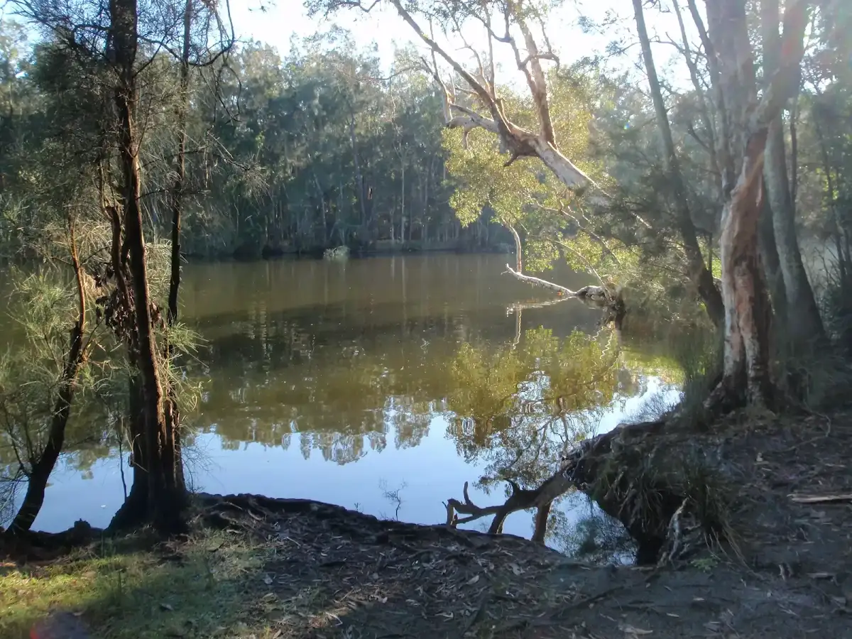 Rivermouth