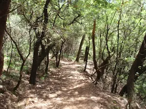 Following the track past Honeymoon Point