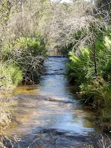 Govetts Leap Brook