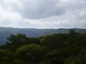 The view of the Jamison Valley from the end of Hordern Rd