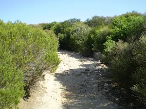 Coast Track