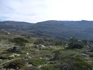 Kangaroo Ridge chairlift lookout platform