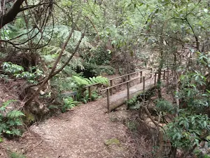Crossing at the Banksia streamlet