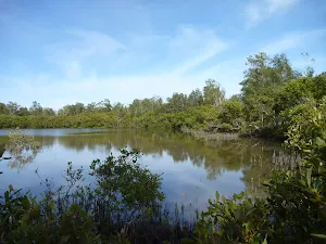 Water views from Galgabba Point walk