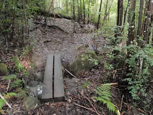 Bridge over tributary