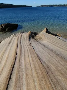 View from track along coast