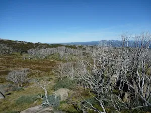 View from Bobs Ridge