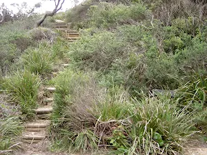Track at Caves Gully