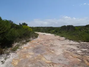 Rocky service trail