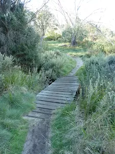 Small Bridge