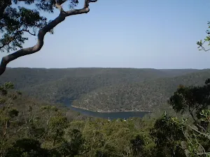 Mt Ku-Ring-Gai Track Lookout