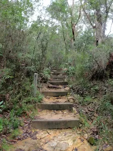 Wooden steps