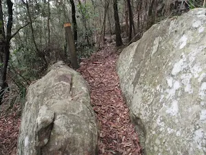 Cleft in rock
