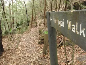 Signpost Guringai Walk