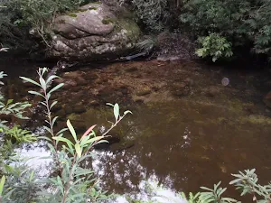 Clear pool in Magdala Creek