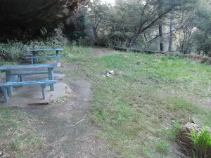 Lyrebird Dell