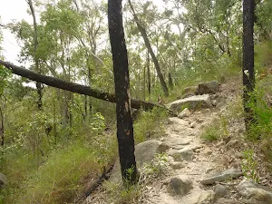 Rough rocky track in the Berowra Valley
