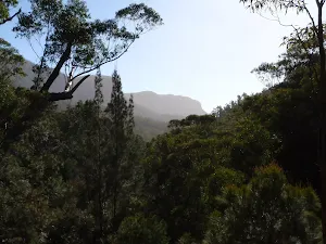 Blackheath to Blue Gum loop