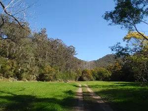 near the end of Ten Mile Hollow Rd 