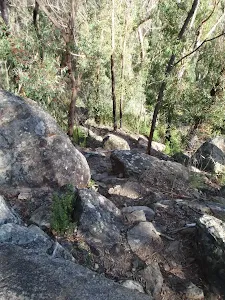 Track along the Grose River