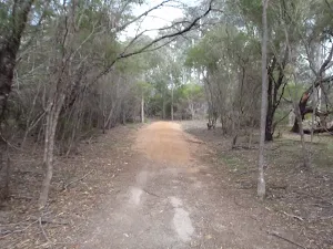 Track to Bournda Lagoon