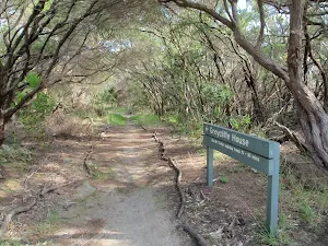 Track leading over Mt Trefle