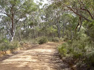 McNicol Service Trail